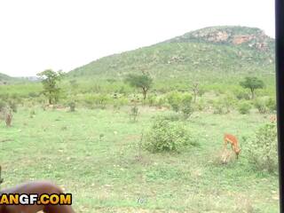 Sebenar footage daripada saya comel warga afrika lassie menghisap saya off semasa safari romantis getaway